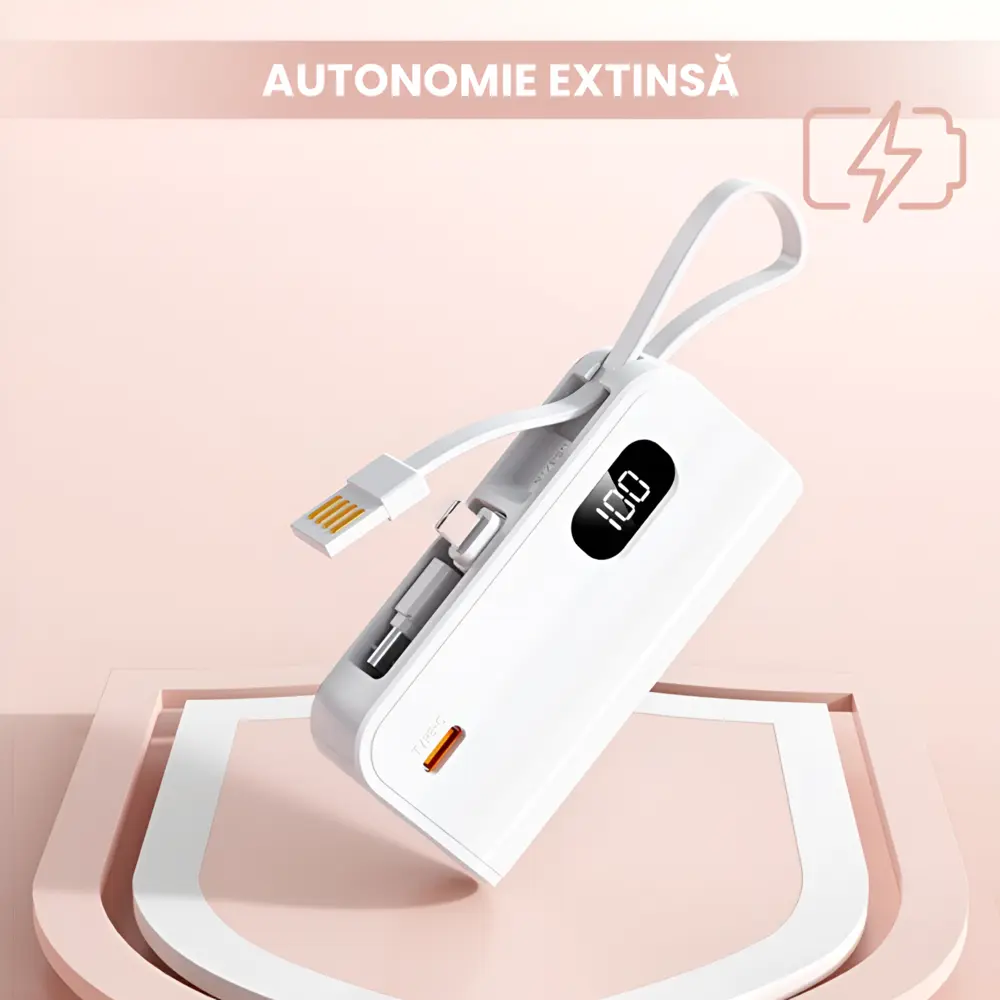 Powerbank Portabil DIY