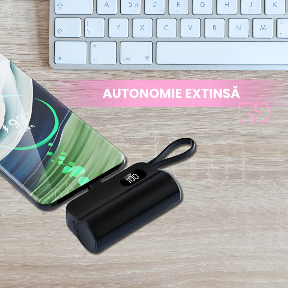 Powerbank Portabil DIY