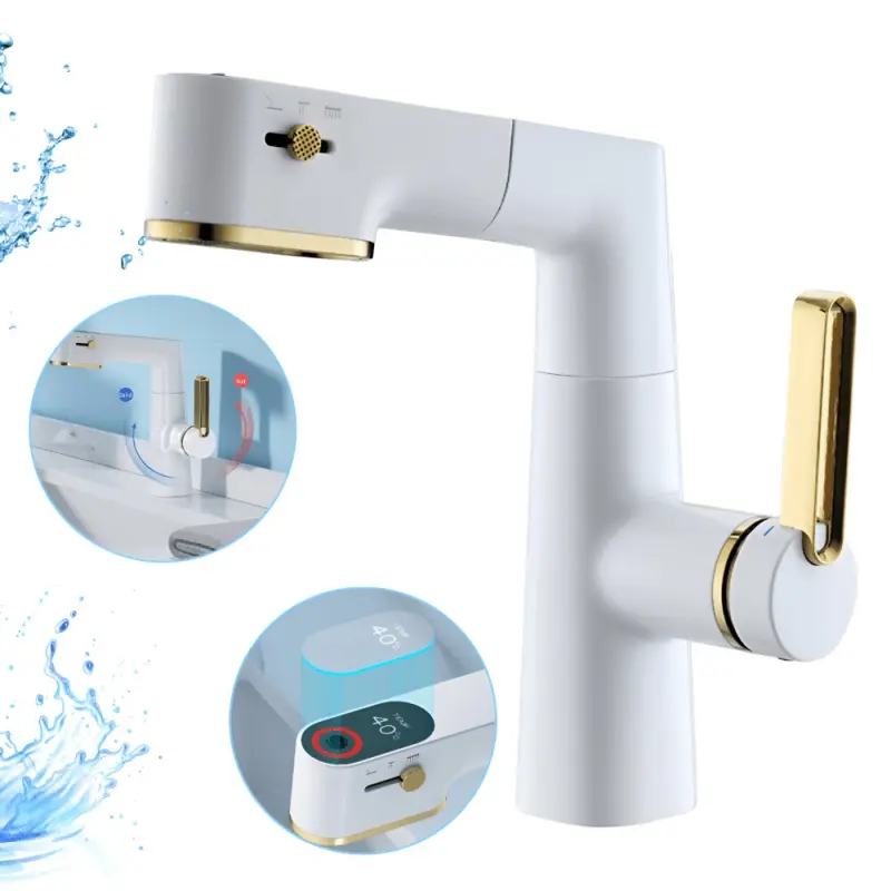 Robinet Multifunctional